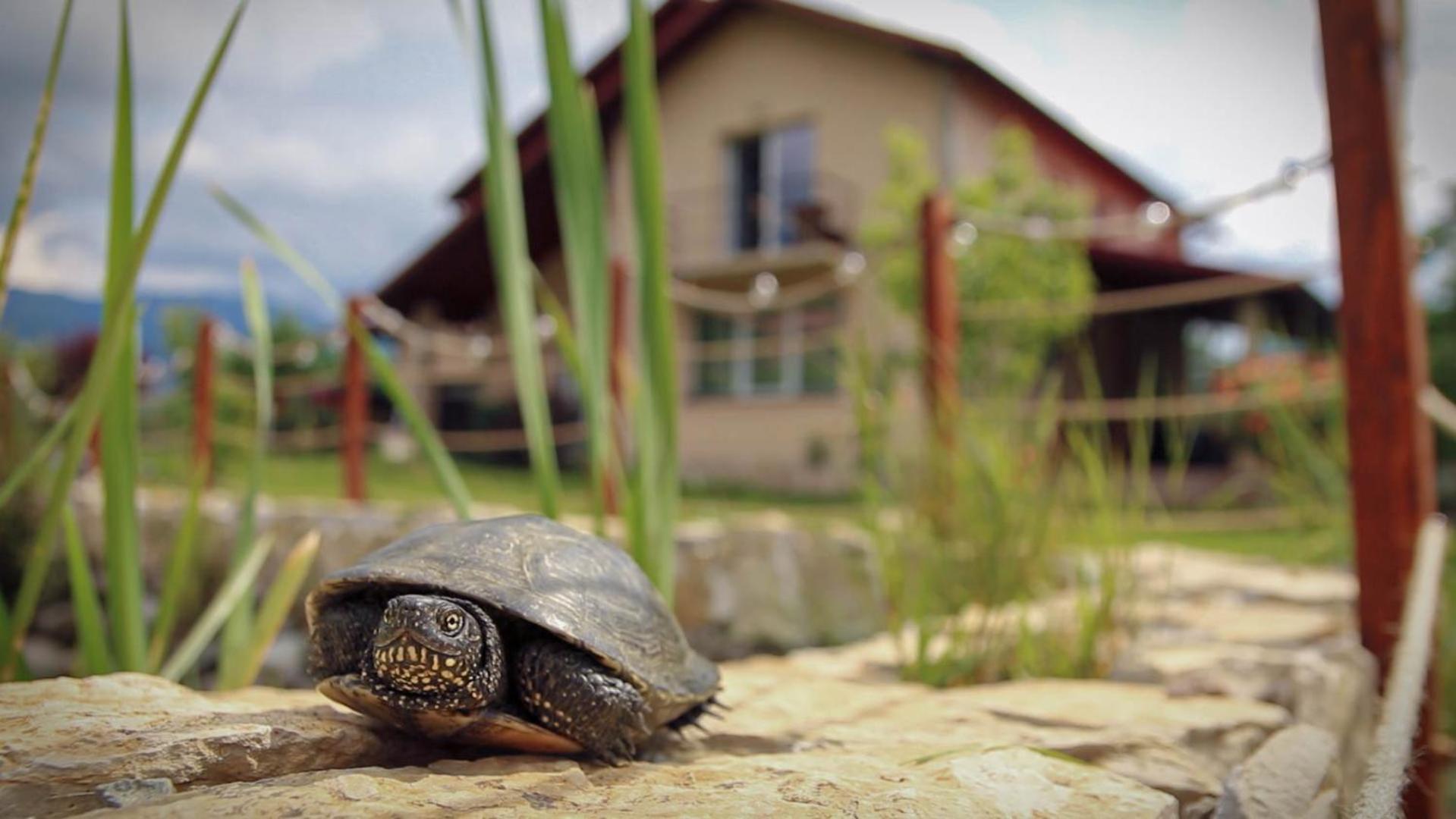 Вилла Therefuge Куртя-де-Арджеш Экстерьер фото